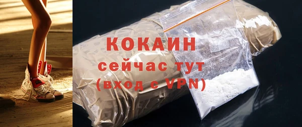 дмт Богородицк