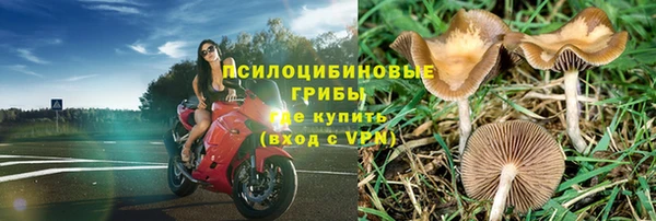 бутират Богданович