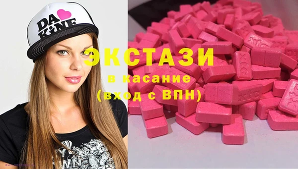 дмт Богородицк