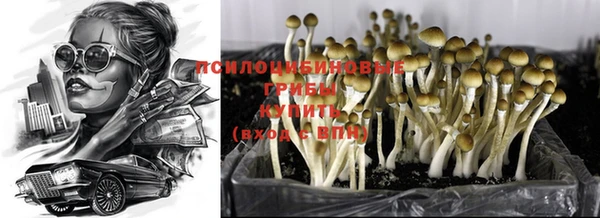 бутират Богданович