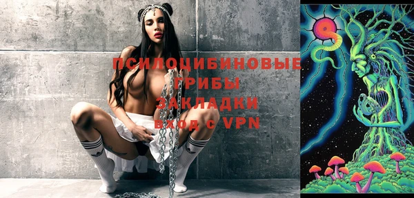 дмт Богородицк
