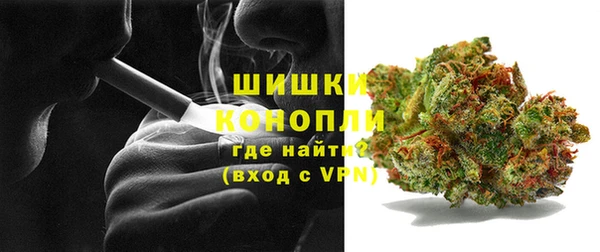 дмт Богородицк