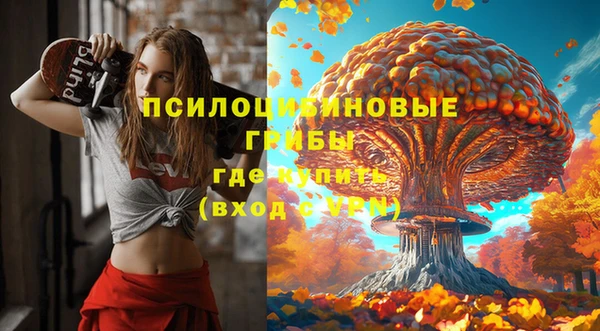 бутират Богданович