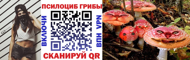 Галлюциногенные грибы Magic Shrooms  OMG онион  Бородино  цена  